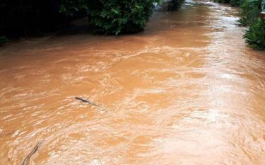 Hiện mực nước trên các sông suối đang lên. Mực nước trên sông Thao tại thành phố Yên Bái  lúc 7h ngày 13/9 là 25,88m (dưới báo động I là 4,12m).