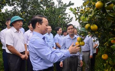 Đồng chí Đỗ Đức Duy - Ủy viên Ban Chấp hành Trung ương Đảng, Bí thư Tỉnh ủy, Trưởng đoàn Đoàn đại biểu Quốc hội tỉnh kiểm tra mô hình trồng cây ăn quả của đồng bào các dân tộc huyện Văn Chấn.