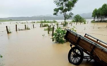 Ông Nguyễn Văn Bằng chủ động kê cao tài sản trước mùa mưa lụt.