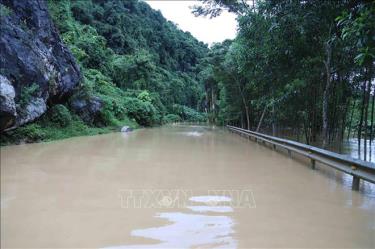 Một điểm trên Quốc lộ 48 nối với huyện miền núi Quế Phong (Nghệ An) ngập sâu do nước lũ dâng cao khiến giao thông bị tê liệt.